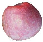 Delicios Rosu